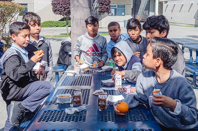 students having lunch